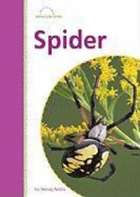 Produktbild: Spider