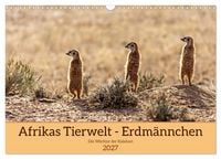 Produktbild: Afrikas Tierwelt - Erdm&auml;nnchen (Wandkalender 2027 DIN A3 quer), CALVENDO Monatskalender