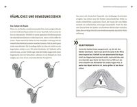 Faszination Auge