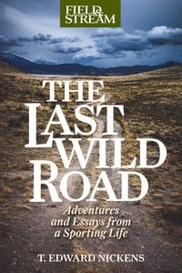 Produktbild: Last Wild Road