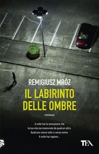Produktbild: Il labirinto delle ombre