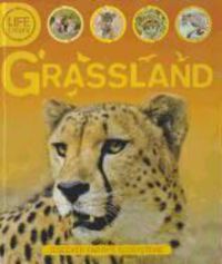 Produktbild: Grassland