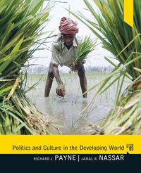 Produktbild: Politics and Culture in the Developing World