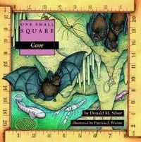 Produktbild: Cave