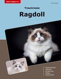 Produktbild: Traumrasse Ragdoll