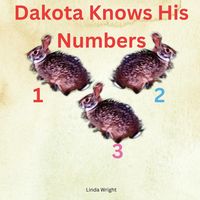 Produktbild: Dakota Knows His Numbers 123
