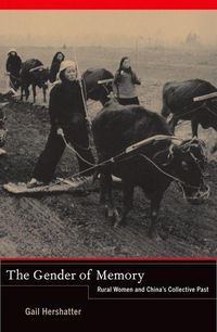 Produktbild: The Gender of Memory