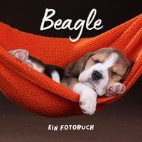 Produktbild: Beagle