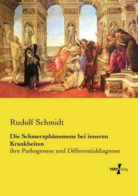 Produktbild: Die Schmerzph&auml;nomene bei inneren Krankheiten