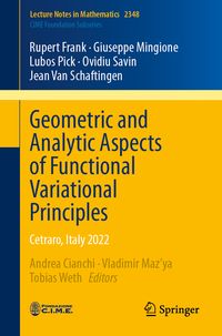 Produktbild: Geometric and Analytic Aspects of Functional Variational Principles
