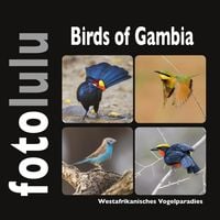 Produktbild: Birds of Gambia