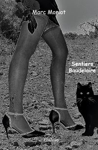 Produktbild: Sentiers baudelaire