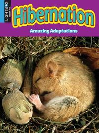 Produktbild: Hibernation