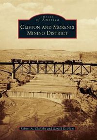 Produktbild: Clifton and Morenci Mining District