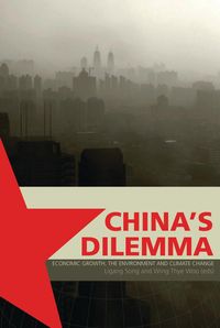 Produktbild: China's Dilemma