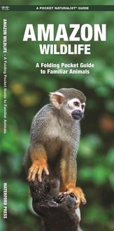 Produktbild: Amazon Wildlife, 2nd Ed