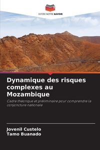 Produktbild: Dynamique des risques complexes au Mozambique