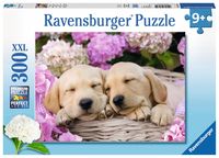 Puzzle Ravensburger Süße Hunde im Körbchen 300 Teile XXL