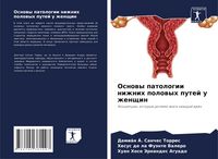 Produktbild: Osnowy patologii nizhnih polowyh putej u zhenschin