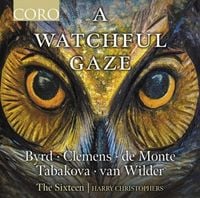 Produktbild: A Watchful Gaze