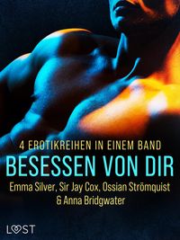 Produktbild: Besessen von dir: 4 Erotikreihen in einem Band