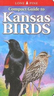 Produktbild: Compact Guide to Kansas Birds