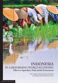 Produktbild: Indonesia in a Reforming World Economy