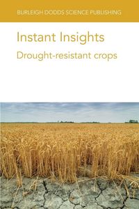Produktbild: Instant Insights
