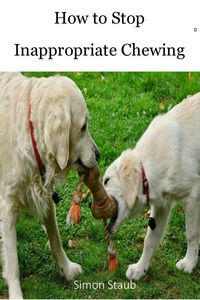Produktbild: How to Stop Inappropriate Chewing (Dog training, #3)