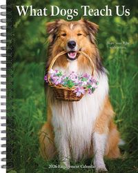 Produktbild: Glen Dromgoole: What Dogs Teach Us 2026 Engagement Calendar