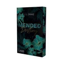 Produktbild: Mended Destiny
