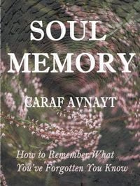 Produktbild: Soul Memory