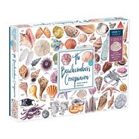 Produktbild: Beachcomber's Companion 1000 Piece Puzzle With Shaped Pieces