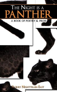 Produktbild: The Night is a Panther