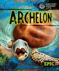 Produktbild: Archelon