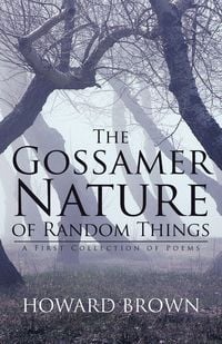 Produktbild: The Gossamer Nature of Random Things