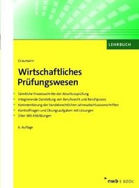 Bild vom Artikel Wirtschaftliches Prüfungswesen vom Autor Mathias Graumann
