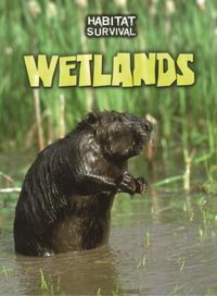 Produktbild: Wetlands