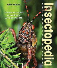 Produktbild: Holm, E: Insectopedia