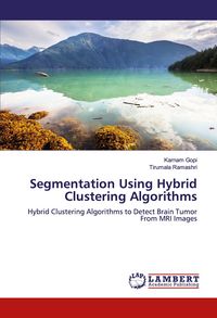 Produktbild: Segmentation Using Hybrid Clustering Algorithms