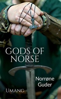 Produktbild: Gods of Norse (Norr&oslash;ne Guder)