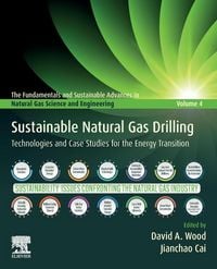 Produktbild: Sustainable Natural Gas Drilling
