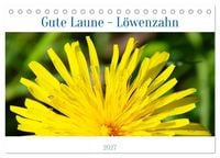 Produktbild: Gute Laune - L&ouml;wenzahn (Tischkalender 2027 DIN A5 quer), CALVENDO Monatskalender