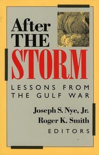 Produktbild: After the Storm