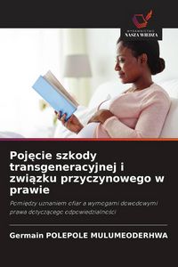 Produktbild: Poj&iquest;cie szkody transgeneracyjnej i zwi&iquest;zku przyczynowego w prawie