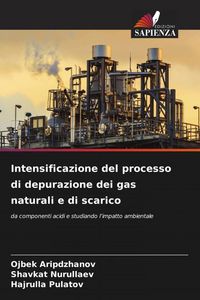 Produktbild: Intensificazione del processo di depurazione dei gas naturali e di scarico