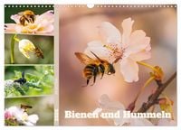 Produktbild: Bienen und Hummeln in Aktion (Wandkalender 2026 DIN A3 quer), CALVENDO Monatskalender