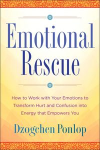 Produktbild: Emotional Rescue