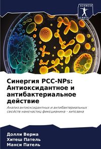 Produktbild: Sinergiq PCC-NPs: Antioxidantnoe i antibakterial'noe dejstwie