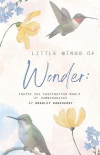 Produktbild: Little Wings of Wonder